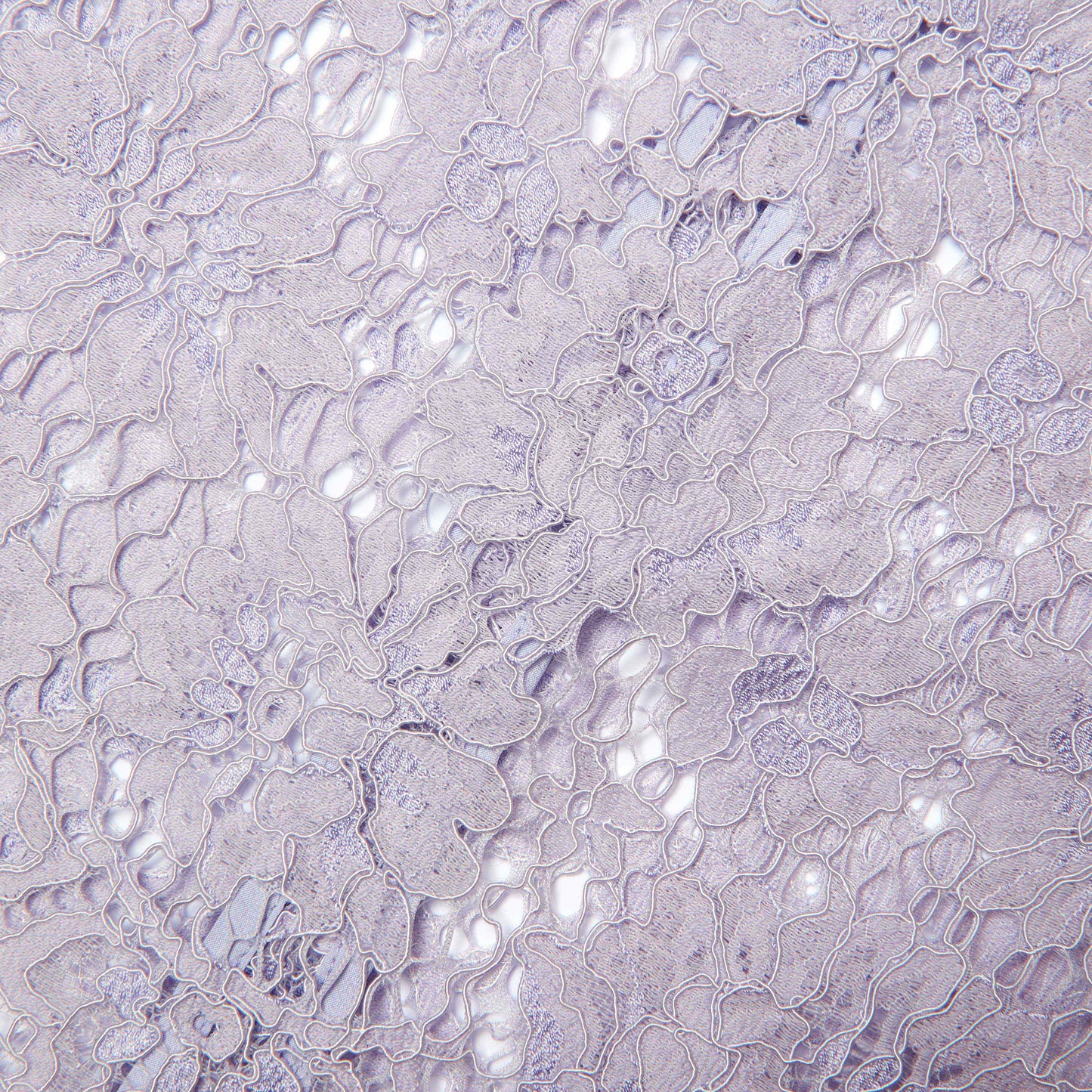 Leylak Dantelli Flüt Kollu Üst